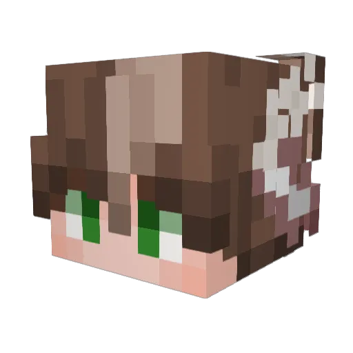 Foreverflat02 Minecraft avatar head, 3D render
