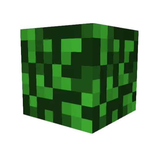Forevergreen13 Minecraft avatar head, 3D render