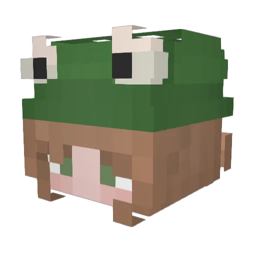 Forg_31 Minecraft avatar head, 3D render
