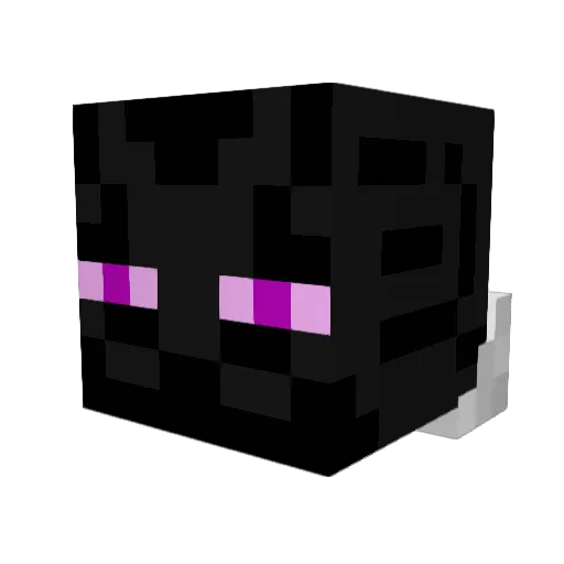 ForgeDragon1 Minecraft avatar head, 3D render