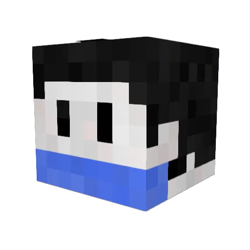ForgeTheMedic Minecraft avatar head, 3D render