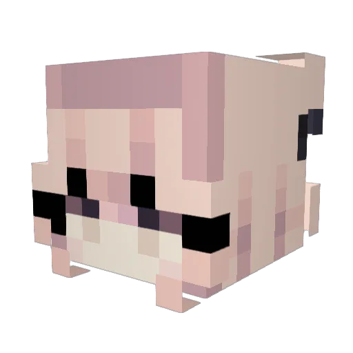 Forge_yn Minecraft avatar head, 3D render