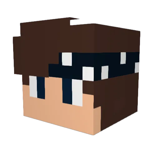 ForgedSilver Minecraft avatar head, 3D render