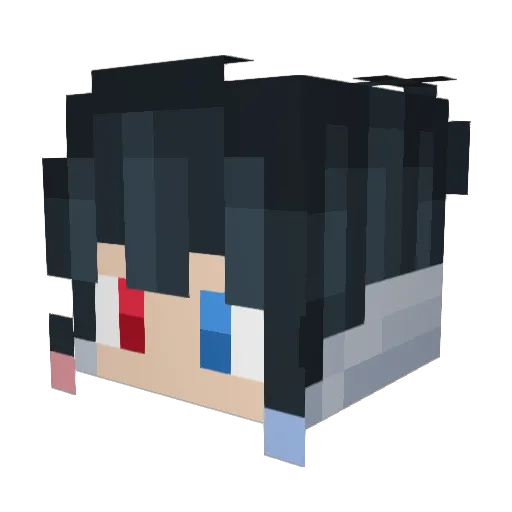 Forgeofdragons Minecraft avatar head, 3D render