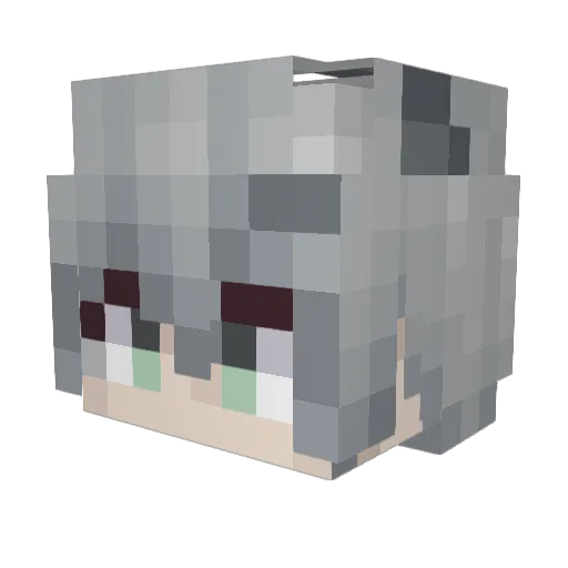 Forget105 Minecraft avatar head, 3D render