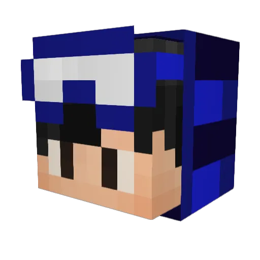 Forgetme1 Minecraft avatar head, 3D render