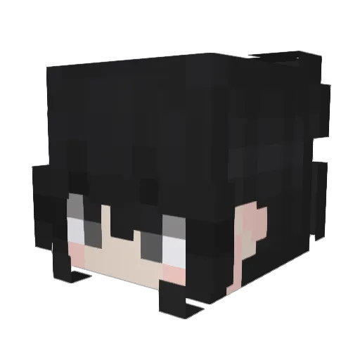 ForgiveJelly Minecraft avatar head, 3D render