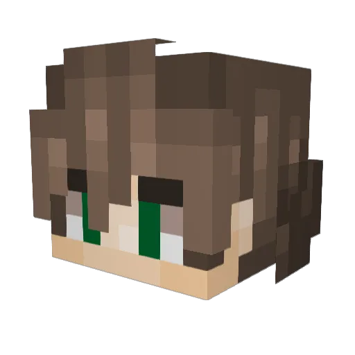 ForgottenOutcast Minecraft avatar head, 3D render