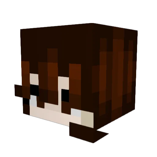 Forgotten_PBJ Minecraft avatar head, 3D render