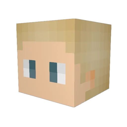ForkballChan Minecraft avatar head, 3D render