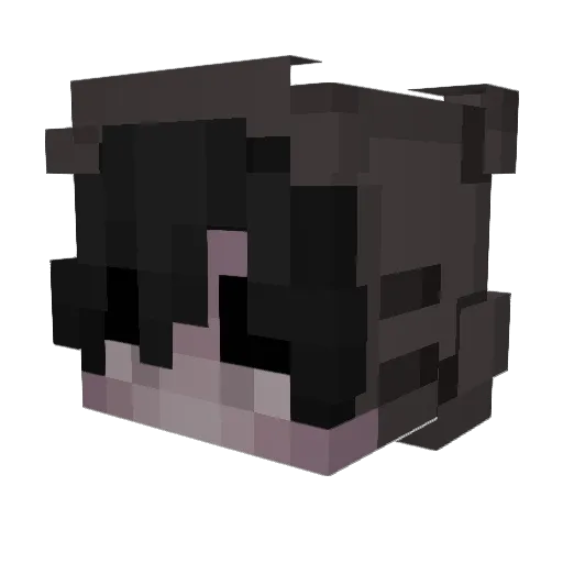 Formerlion34595 Minecraft avatar head, 3D render