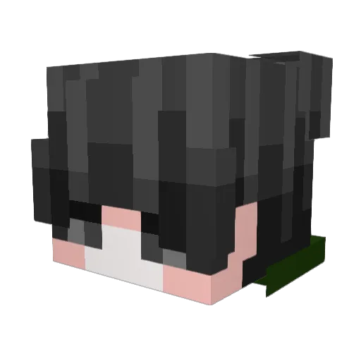 Formigow21 Minecraft avatar head, 3D render