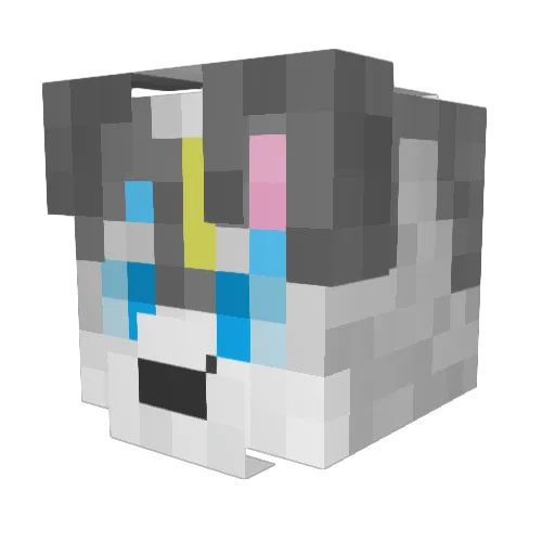 FormlessDuck Minecraft avatar head, 3D render
