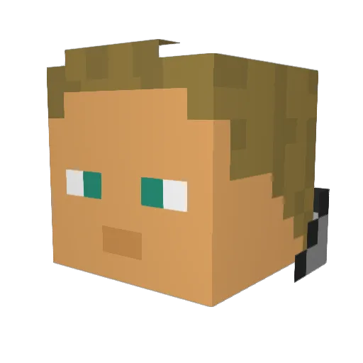 Formulasteam267 Minecraft avatar head, 3D render