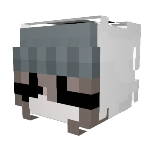 Fornalsia Minecraft avatar head, 3D render