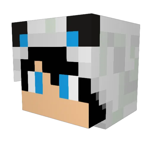 Foroprosnyper Minecraft avatar head, 3D render