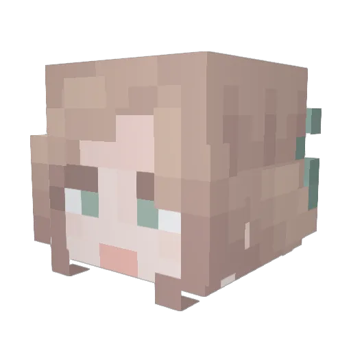 Forr4st Minecraft avatar head, 3D render