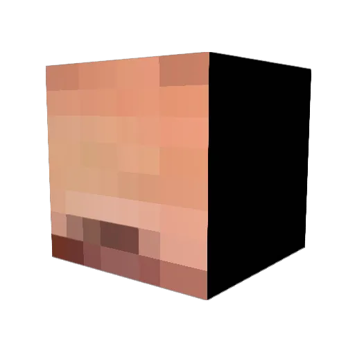 ForrestByrnes Minecraft avatar head, 3D render