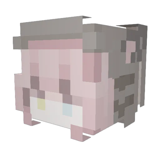 Forsakenn1 Minecraft avatar head, 3D render