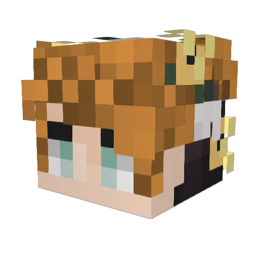 Forsinain Minecraft avatar head, 3D render