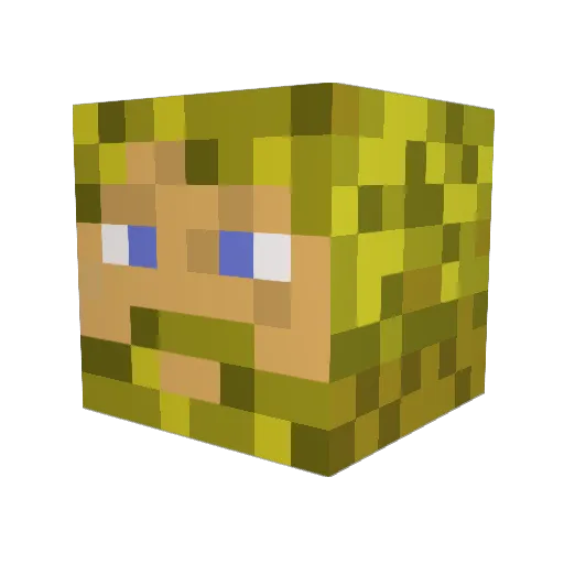 Forsland Minecraft avatar head, 3D render