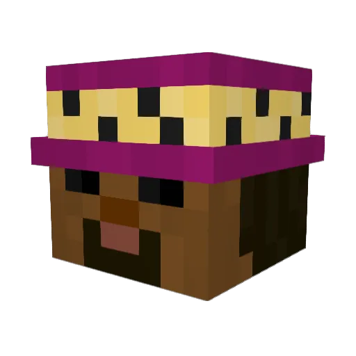 FortWorth Minecraft avatar head, 3D render