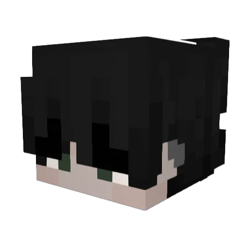Fortaaaaaa Minecraft avatar head, 3D render