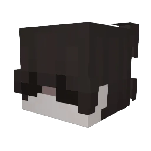 FortdertRL Minecraft avatar head, 3D render