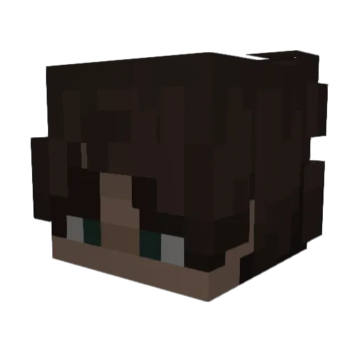 FortisRadix Minecraft avatar head, 3D render