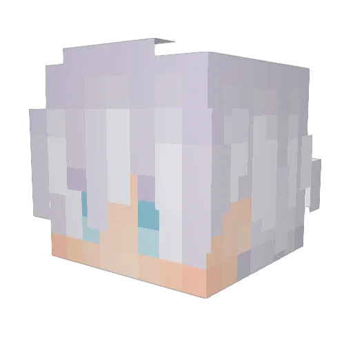 FortniteFan1104 Minecraft avatar head, 3D render