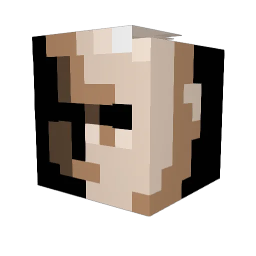 FortniteSkin12 Minecraft avatar head, 3D render