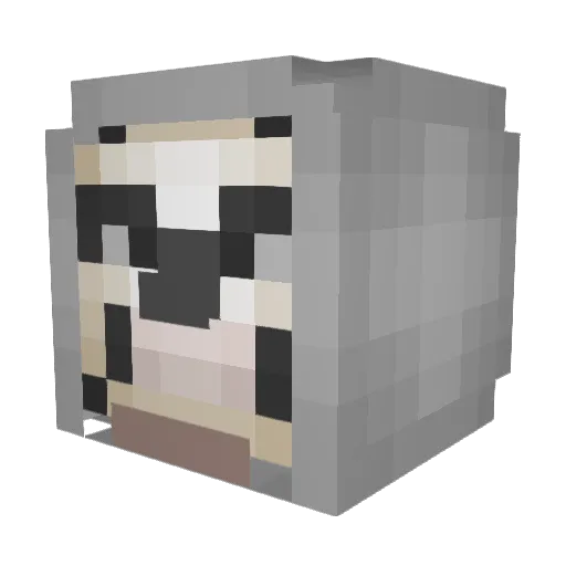 Fortniteking6996 Minecraft avatar head, 3D render