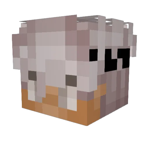 FortuneCks Minecraft avatar head, 3D render