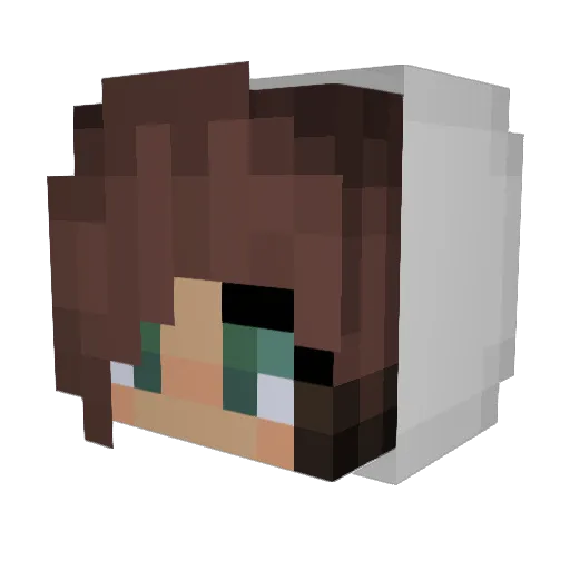 FortuneCookie001 Minecraft avatar head, 3D render