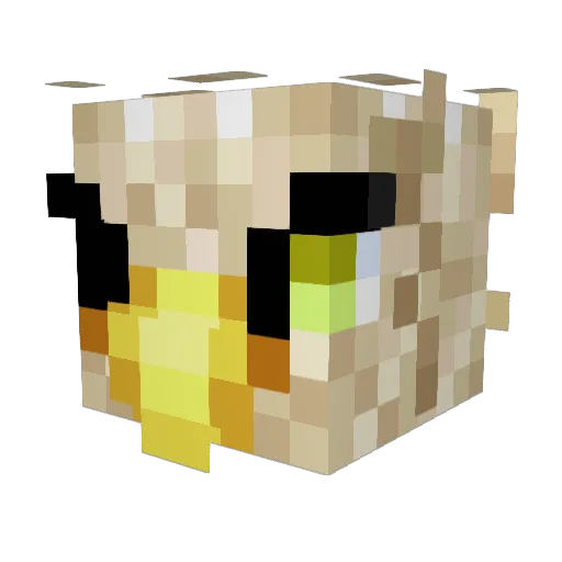 Fortyounce Minecraft avatar head, 3D render
