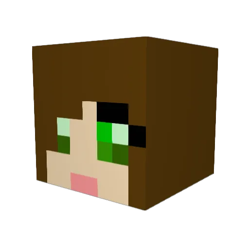 Forza13 Minecraft avatar head, 3D render