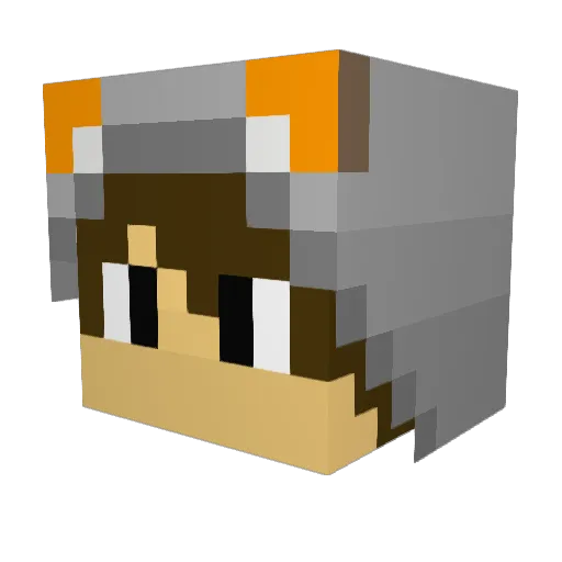 ForzaFox Minecraft avatar head, 3D render