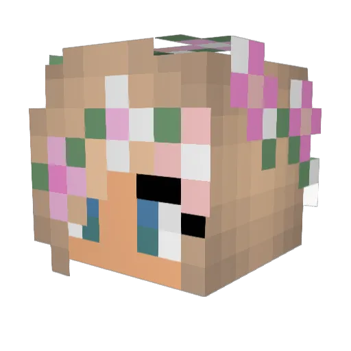 ForzanightYT Minecraft avatar head, 3D render