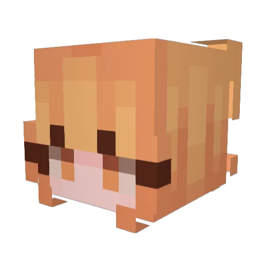 Forziii Minecraft avatar head, 3D render