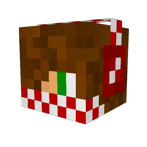 FosVoTom Minecraft avatar head, 3D render