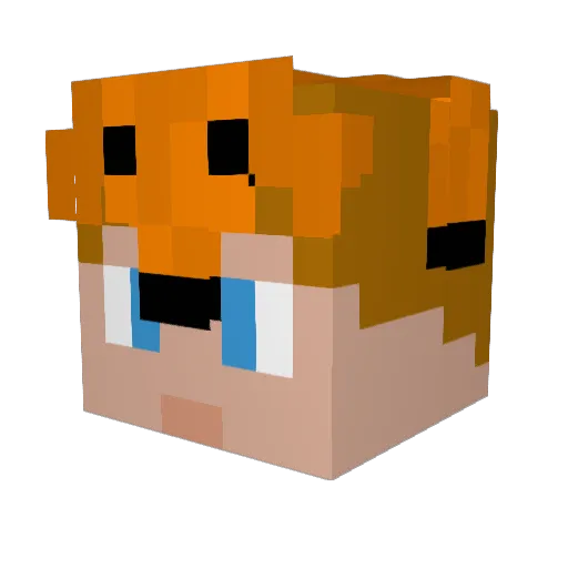 Fosas2H Minecraft avatar head, 3D render