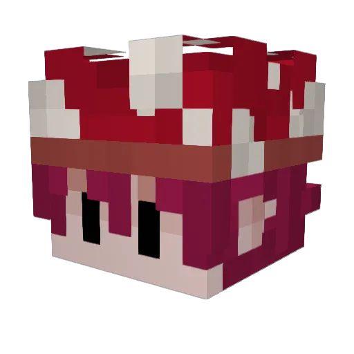 FoshGamer Minecraft avatar head, 3D render