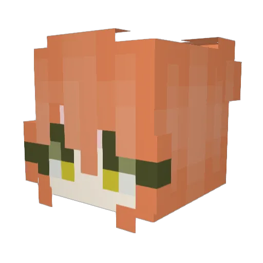 Foska Minecraft avatar head, 3D render