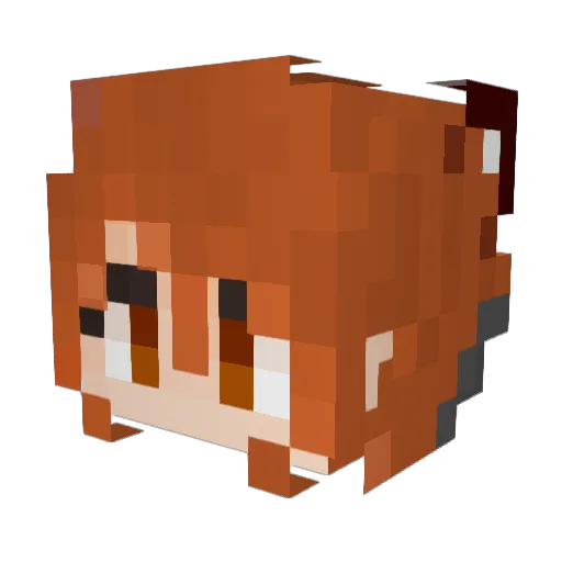Foskie_ Minecraft avatar head, 3D render