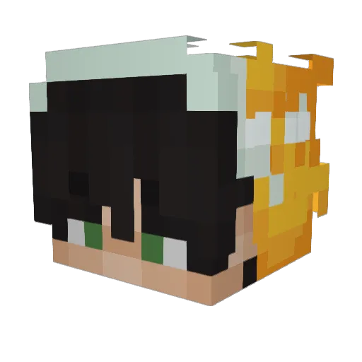 Fosox_ Minecraft avatar head, 3D render