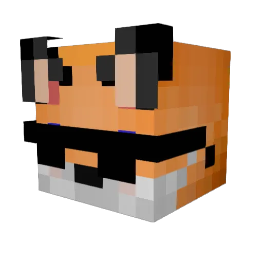 Foss08 Minecraft avatar head, 3D render