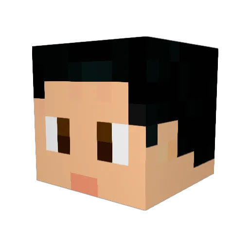 FosterHigg Minecraft avatar head, 3D render