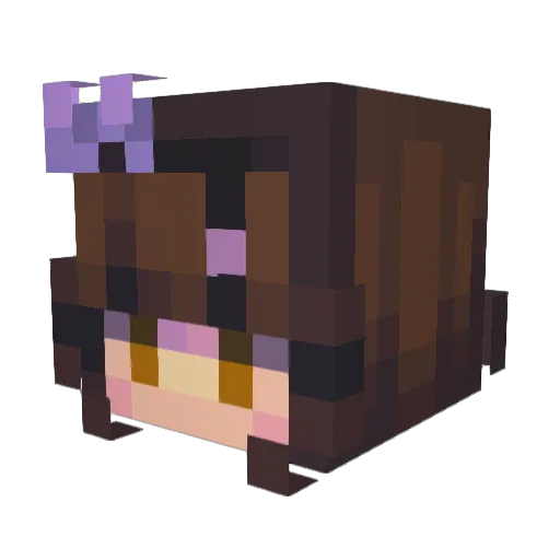 FosterKeefe4Life Minecraft avatar head, 3D render