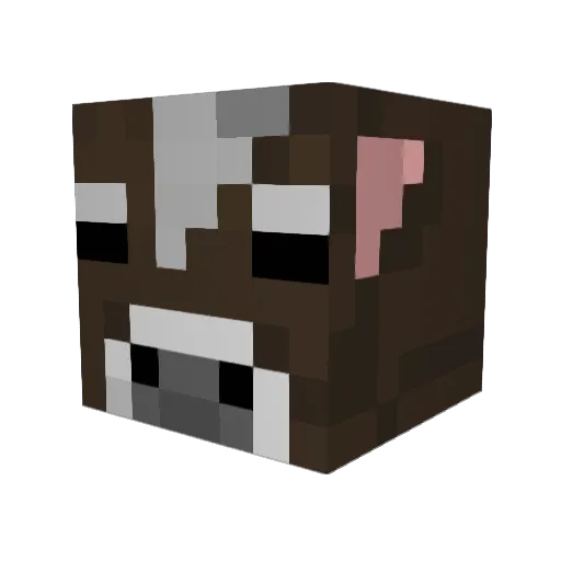 FosterPlayzz Minecraft avatar head, 3D render