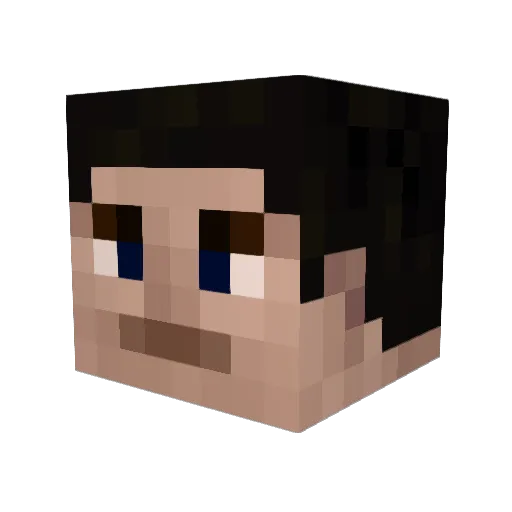 Fosters_Fortune Minecraft avatar head, 3D render